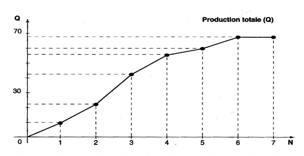 production totale